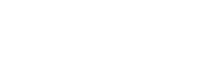 LOGO BOSTON MEDICAL